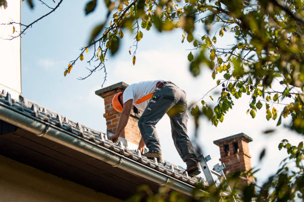 Best New Roof Installation  in Johnson, AR