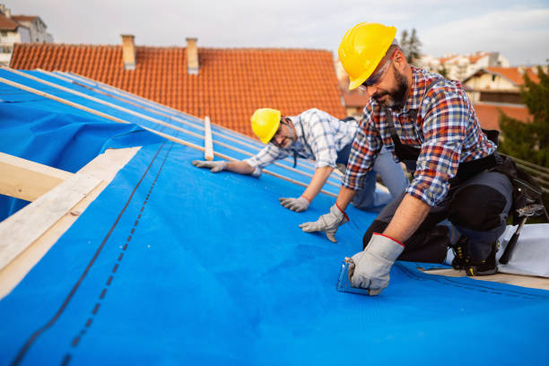 Best Slate Roofing Contractor  in Johnson, AR